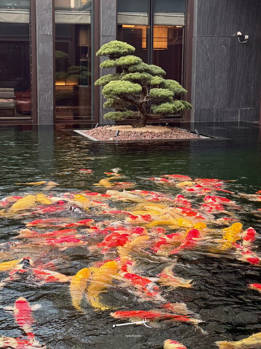 taye_speakeasy x Park Hyatt Suzhou Cloud Rhythm Springtime