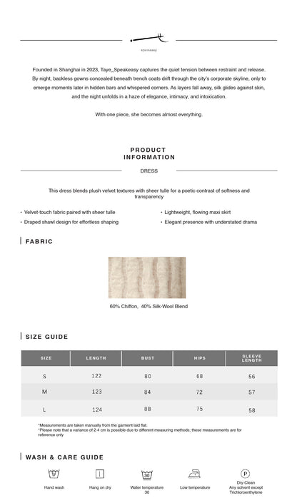 Chiffon Tulle Shawl Maxi Dress